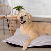 Housse stylisée pour coussin nuage, 2 tailles